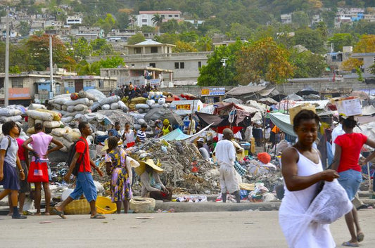 The Devastating Reality of the Crisis in Haiti